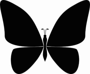 Schmetterling Vorlage 16